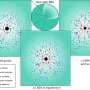 A black hole as light as 40 tons can exist inside a star if dark matter helps